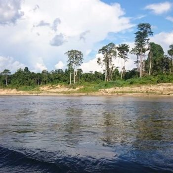 Taman Negara